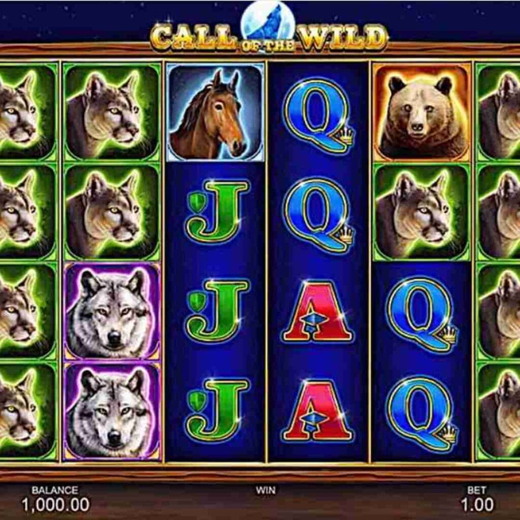 Complete Evaluation of Wild Gambling Enterprise